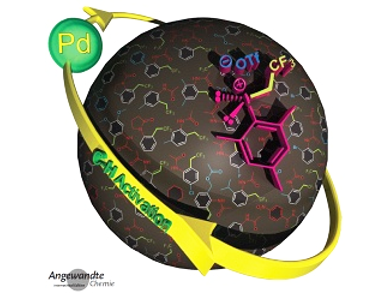 Angewandte Chemie 6/2016: Mild and Aromatic