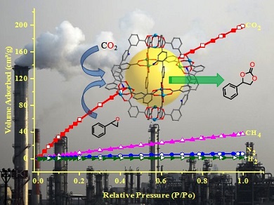 Versatile CuII Metal-Organic Framework