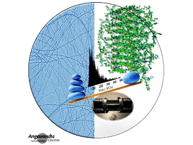 Angewandte Chemie 7/2016: Beneath the Surface