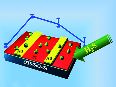 Hydrogen Sulfide Sensors