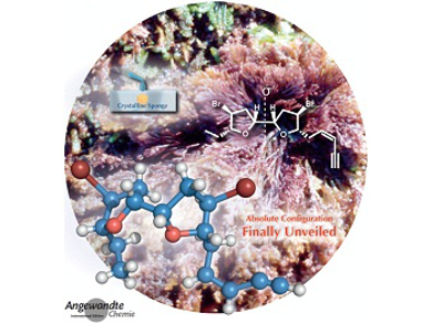 Angewandte Chemie 8/2016: A Rival for Platinum