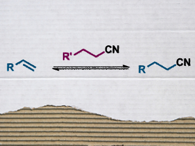 Reversible Hydrocyanation without HCN