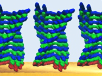 Controlled Growth of Supramolecular Copolymers