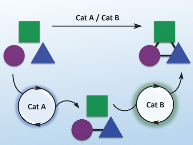 Multicomponent and Multicatalytic Reactions