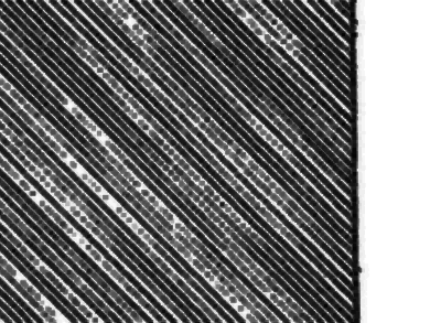 Investment in Fixed-Bed Catalysts