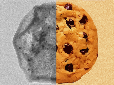 Nanocookies as Anode Materials