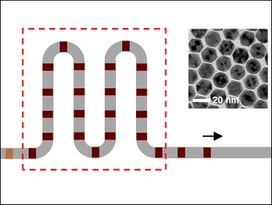 Scalable Production of Colloidal Metal Nanocrystals