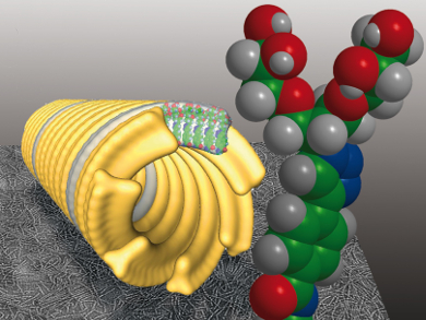 Chirality in Dendritic Amphiphiles