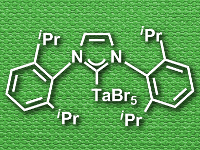 Rare Tantalum and Niobium NHC Complexes