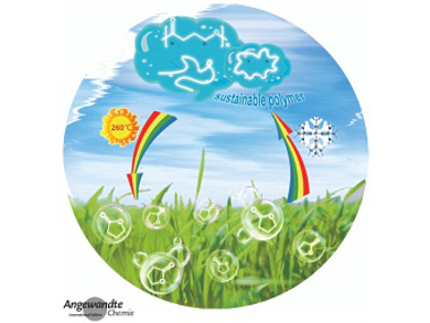 Angewandte Chemie 13/2016: Receive and Activate