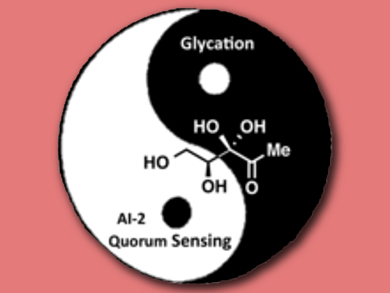 More than Just a Signaling Molecule