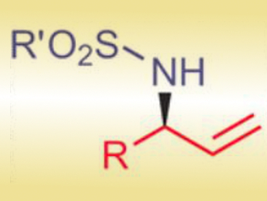 Cooperative Palladium/Amine Catalysis