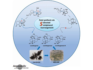 Angewandte Chemie 14/2016: Crossing Boundaries