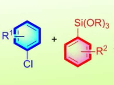 Hiyama Coupling with Palladium