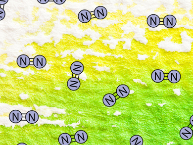 Nitrogen Fixation with Simple Iron Complexes