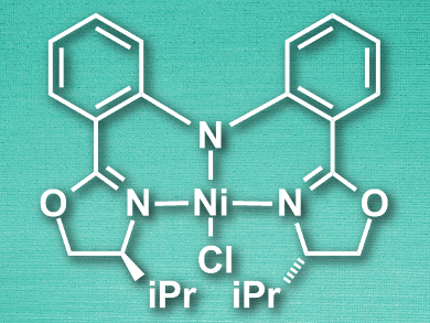 Ni-Catalyzed Hydrosilylation Without Silanes