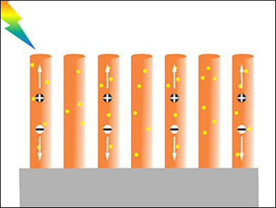 Niobium Improves Photoelectrodes