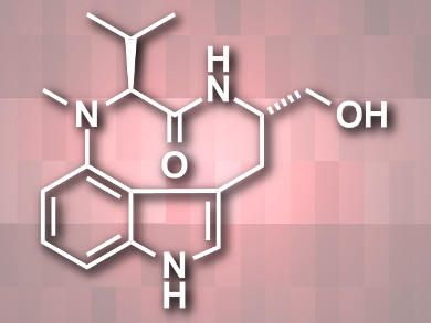 Total Synthesis of Indolactam V