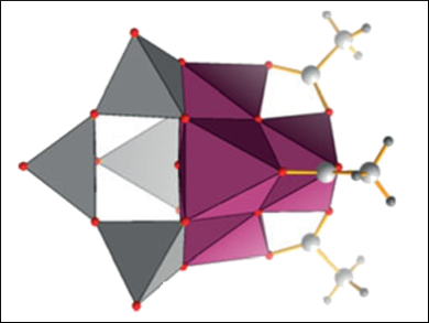 Visible-Light-Driven Water Oxidation