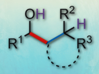 Iron-Catalyzed Transfer Hydrogenative Coupling