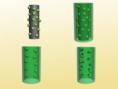 Catalytic Nanotube Reactors