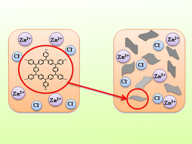 2D Polymer for CO2 Capture