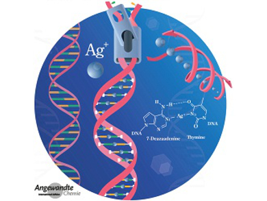 Angewandte Chemie 21/2016: Smart Materials