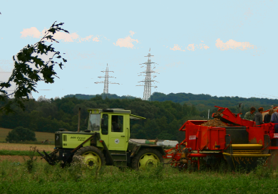 Bayer Investing in Agriculture Industry Sector