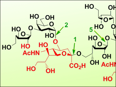 Total Synthesis of Starfish Ganglioside GP3