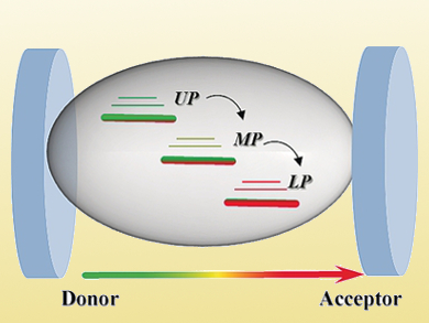 Non-Radiative Energy Transfer