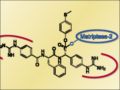 Inhibitors Against Iron-Overload Diseases