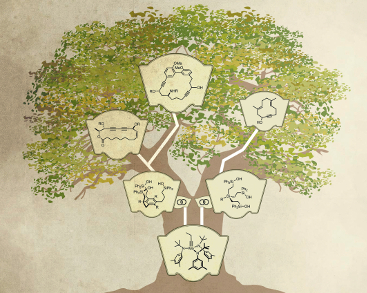 Improving Alkyne Metathesis for Natural Products