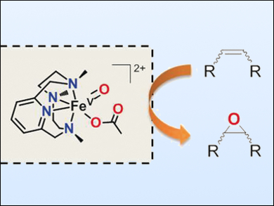 Nonheme Iron Catalyzed Epoxidation