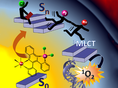 Metal Synergy in a Potential Anti-Cancer Drug