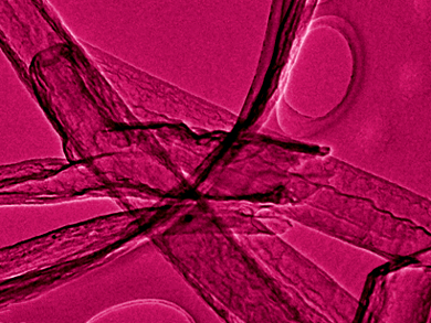 Sulfur and Nitrogen Co-Doping for Water Electrolysis