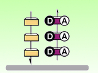 Ordered Macro-Dipoles for Organic Solar Cells