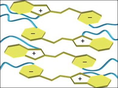 Dual Responsive Gelling Polymer