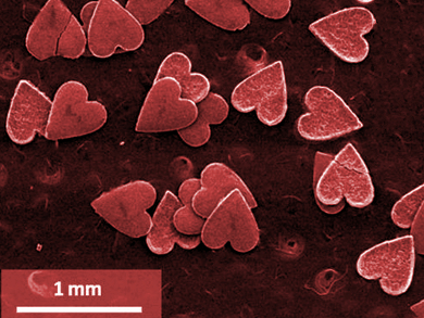 Free-Standing MOF Superstructures