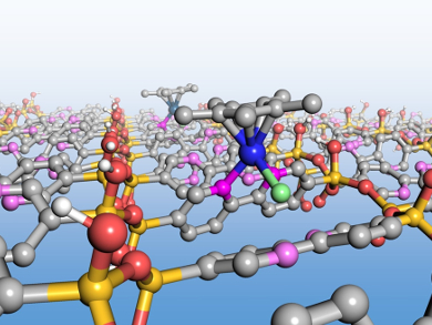 Catalysis by Immobilized Iridium Complexes