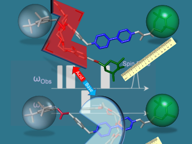 Understanding Structural Changes of Molecular Shuttles