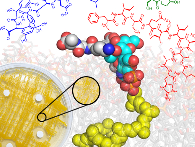 New Antibiotics Against Resistant Bacteria