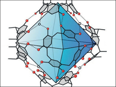 Iminium Catalysis Inside a Nanometer Container