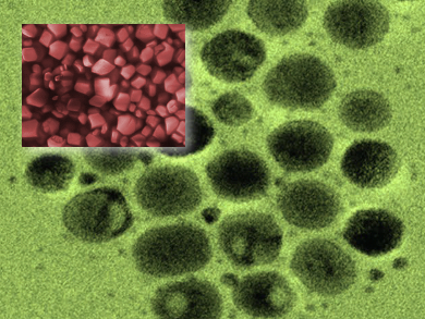 Healing Perovskites at Room Temperature