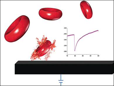 Counting Red Blood Cells