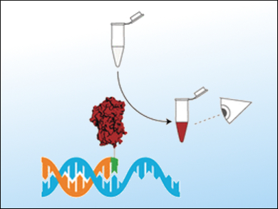 Genetic Tests with the Naked Eye