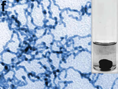 Efficient Catalyst for Polyalcohol Fuel Cells