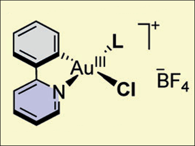 Easy Access to Cyclometalated Gold Complexes
