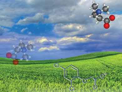 New Herbicidal Ionic Liquids