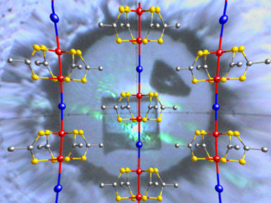 Highly Conductive Coordination Polymer