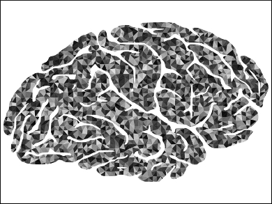 Particulate Matter: Metal Particles in the Human Brain